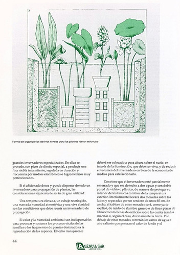 Plantas De Interior E Invernadero, Descripción Y Cultivo