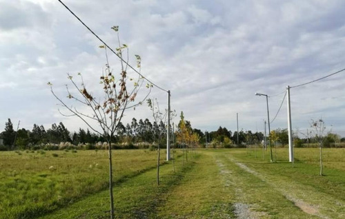 Imagen 4 de 5 de Terreno Venta -2630m2 Totales- City Bell