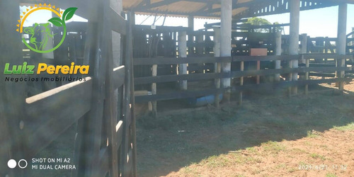 Imagem 4 de 5 de Fazenda À Venda Em Sta, Rita Do Pardo - Ms - De 130.16 Alqueires (pecuária) - 1702