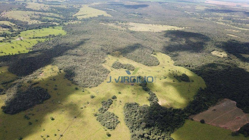 Imagem 8 de 20 de Faz. Luziania Com Água, Nascente Corumbá - Fa0007
