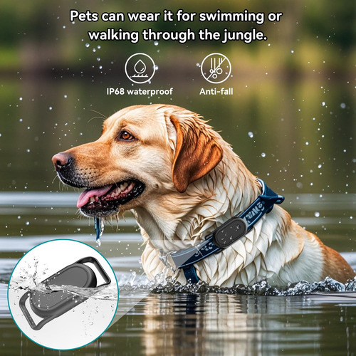 Soportes Para Collar De Perro Ddj Paquete De 2 Galaxy Smart Negro Nombre Del Diseño Tamaño Del Collar