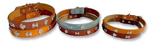 Collar Ajustable Para Perro Con Estoperoles De Huesitos
