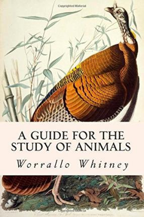 Libro A Guide For The Study Of Animals - Worrallo Whitney