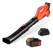 Comprar Soplador De Hojas Inalámbrico - Soplador De Hojas Eléctrico