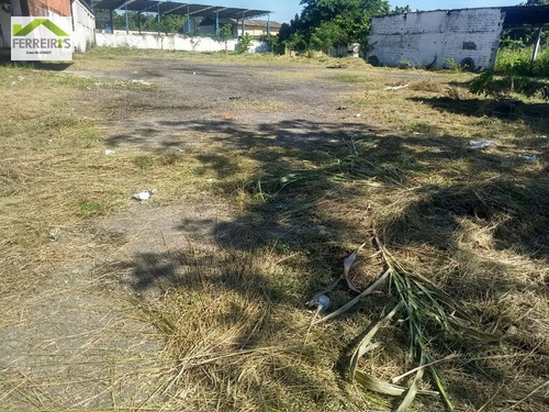 Imagem 6 de 7 de Terreno A Venda . - 301-1