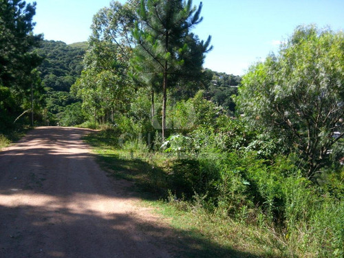 Imagem 2 de 10 de Terreno - Coronel Aparicio Borges - Ref: 38025 - V-38025