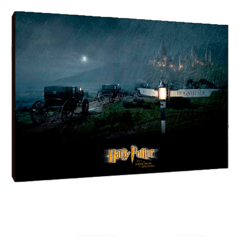 Cuadros Poster Harry Potter Lugares L 29x41 (gmg (2))