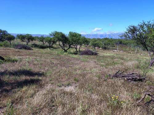 Venta Bellísimo Terreno En Arroyo De Los Patos Financiado