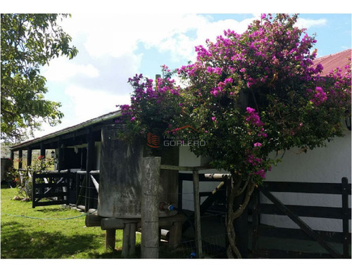 Imagen 17 de 21 de Campo En Uruguay, Aiguá, Ruta 13