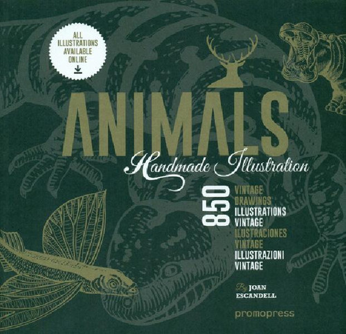 Libro - Animals Handmade Illustration, De Escandell, Joan. 