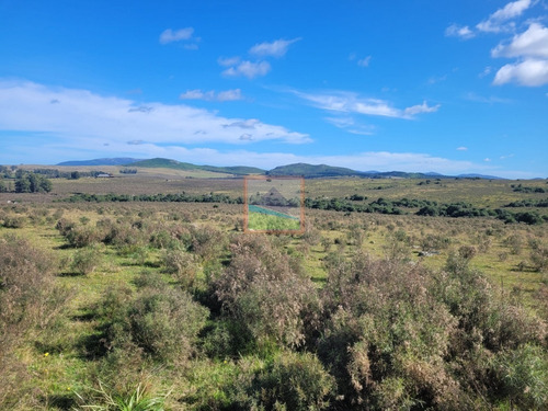 Imagen 17 de 22 de Campo Turístico 145hás En Zona De Pan De Azúcar