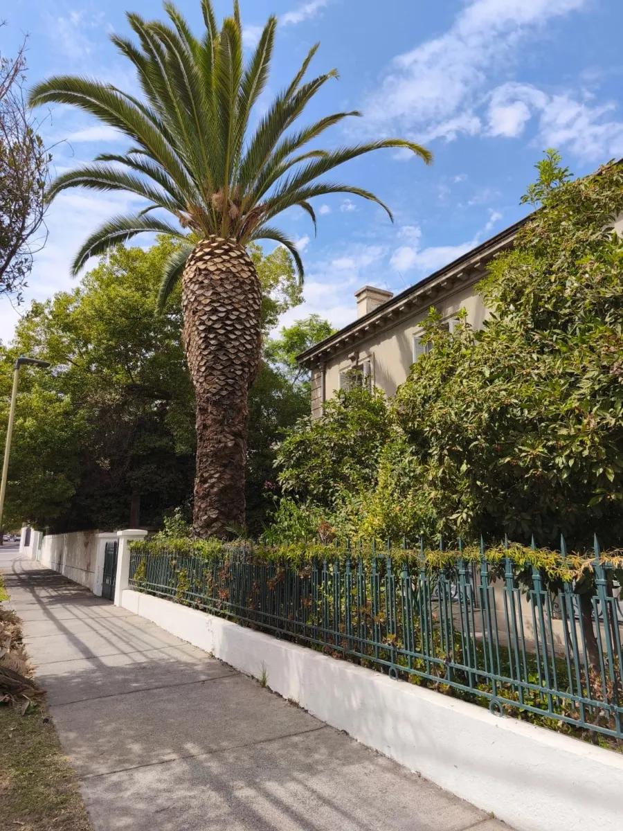 Imagen 5 de 21 de Barrio El Golf Casa 360 M2 Estilo Frances 840m2 Terreno
