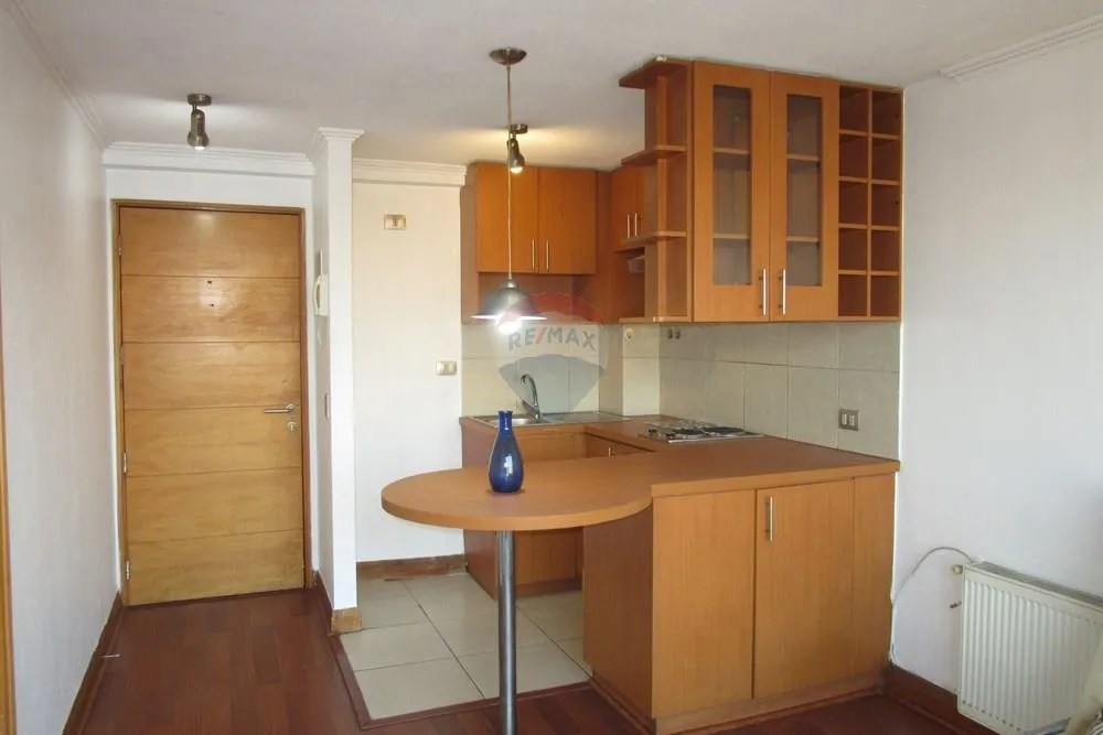 Imagen 3 de 18 de Arriendo En Barrio Bellavista, Recoleta.