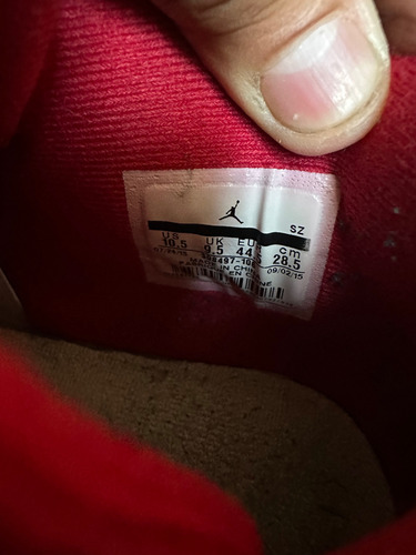 Jordan Retro 4 Alternate 89 - 8 1/2 Mex (Usado)