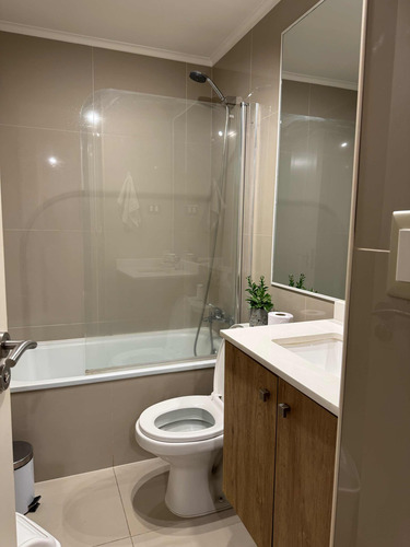 Hermoso Departamento De Un Dormitorio En Villarrica