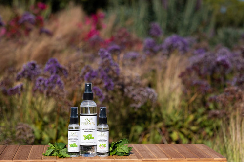 Eucalyptus Shower Mist 2oz, Twin Pack Eurospa Aromatics