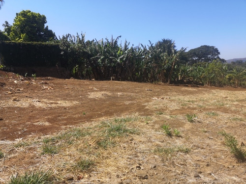 Imagen 3 de 10 de Terreno En Naranjo