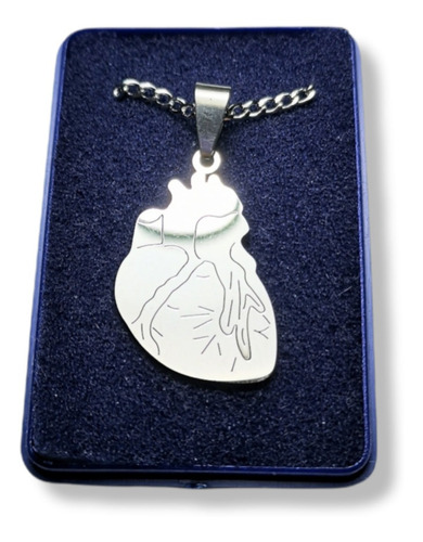 Dije Corazon Cardiologo Acero Quirurgico C/ Cadena Y Estuche