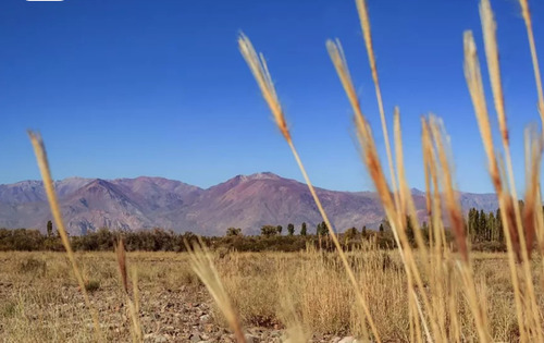 1ha Terreno Mendoza- Uspallata- San Alberto 