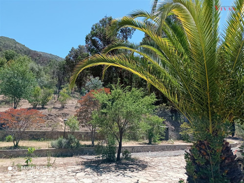 Casa En Venta De 6 Dorm. En Olmué