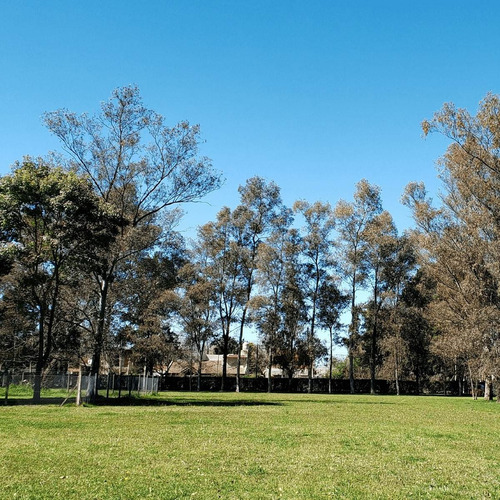 Imagen 4 de 8 de Últimos Lotes Sobre Av. Arregui A Metros De Ruta 8 Rincon De Tortuguitas - Escritura Inmediata. Listo Para Construir