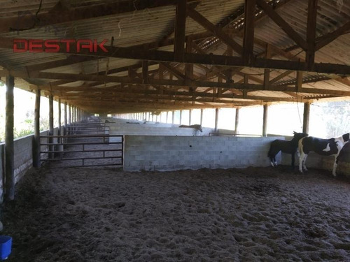 Imagem 6 de 15 de Ref.: 3948 - Sítio Em Jundiaí Para Venda - V3948