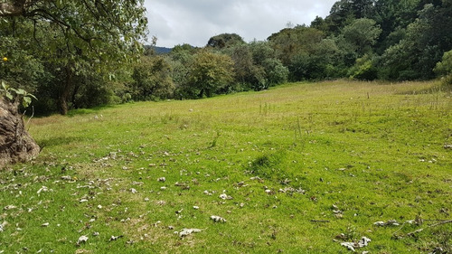 Imagen 9 de 14 de 2,243 M2 Terreno En Acambay De Ruiz, Edo. Mex