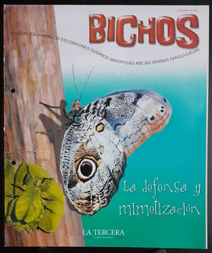 Icarito, Bichos / La Defensa Y Mimetización.