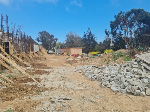 Sitio Pangue En Venta En Zapallar