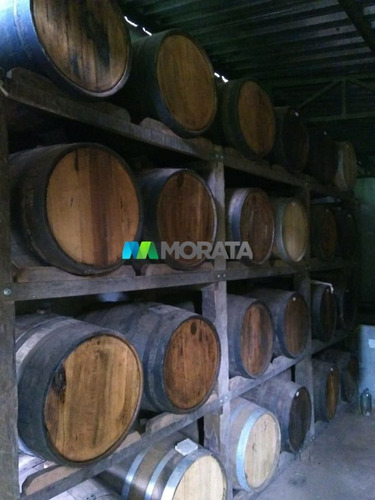 Imagem 8 de 15 de Fazenda - Zona Rural - Ref: 3638 - V-mta3638