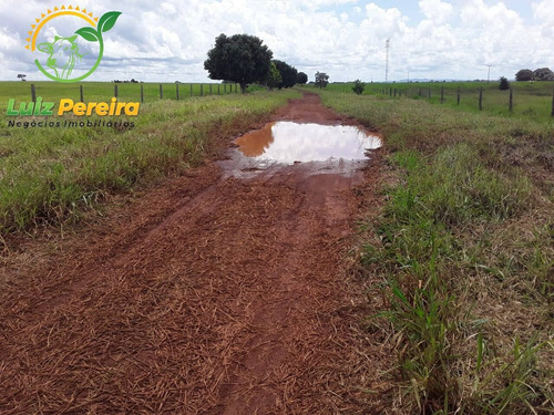 Imagem 9 de 12 de Fazenda À Venda Em Conceição Do Araguaia -pa-4.854.52 Hec. (d. Aptidão) - 2091