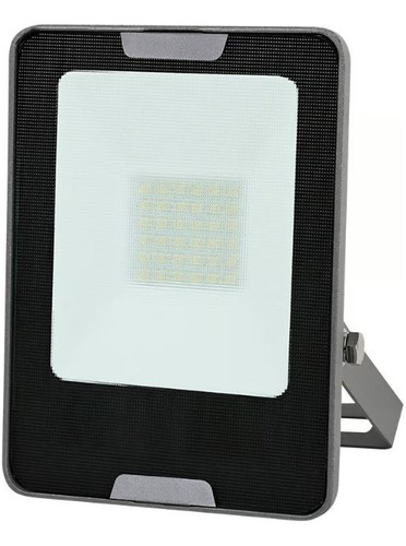 Reflector Led Para Exteriores 30 W Luz De Día Color de la carcasa Negro Color de la luz Blanco frío