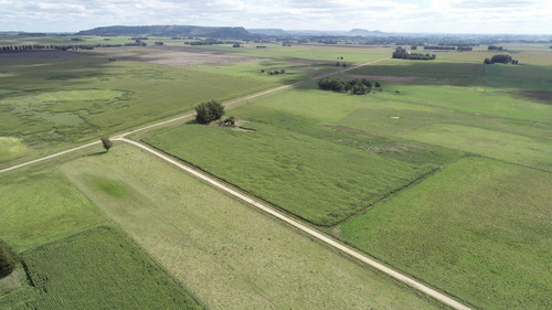 Imagen 5 de 30 de Quinta De 8 Has. A 1.800 Mts Ruta 226 - 100 % Agrícola