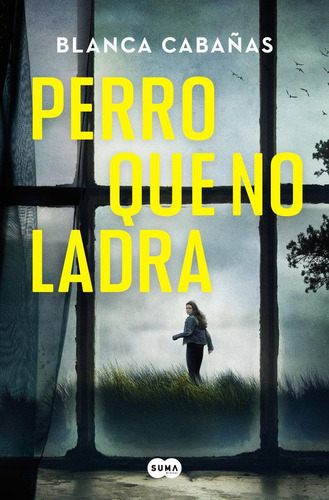 Libro: Perro Que No Ladra. Cabañas, Blanca. Suma