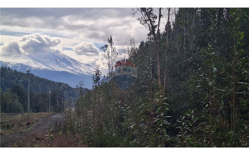 Parcela Con Bosque Nativo En Puerto Varas