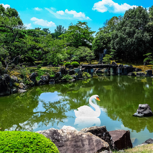 Figura De Cisne Flotante, Escultura De Pájaro De Resina, Est
