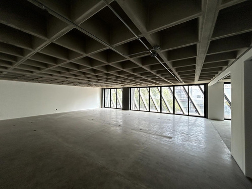 Oficina En Renta - Presidente Masaryk - Piso 1 - 330 M2