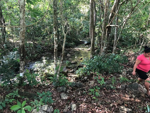 Terreno De 190 Hectáreas Cerca De Palenque