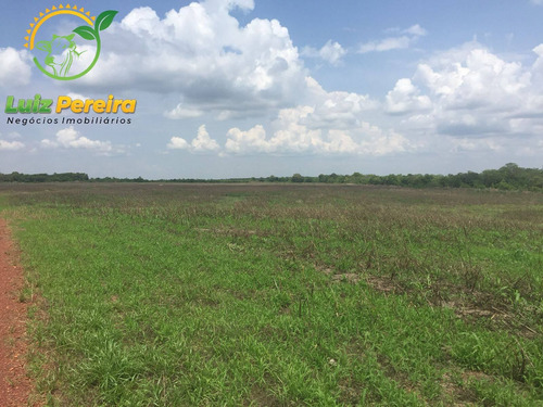 Imagem 7 de 11 de Fazenda À Venda No Vale Do Araguaia - To - 1.108 Hectares (dupla Aptidão) - 2101