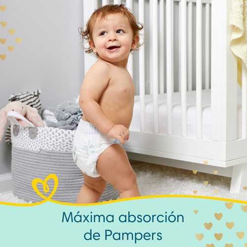 2 Paquetes De Pañales Pampers Premium Care Todas Las Tallas Género Sin género Tamaño Talla Grande:144 und