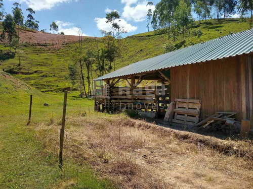 Imagem 13 de 16 de Terreno À Venda No Bairro Salto Águas Negras - Botuverá/sc - 2200t