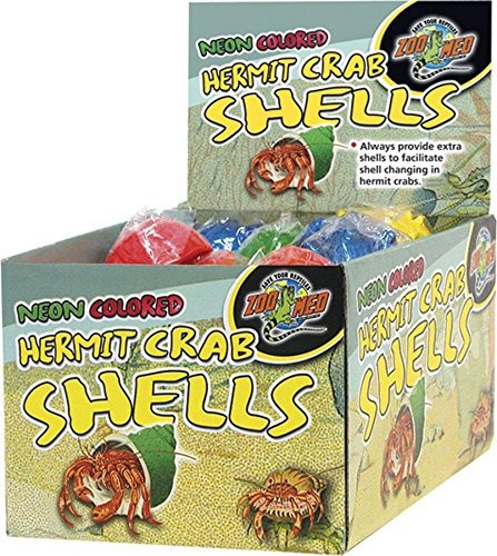 Shells Zoo Med Laboratorios Szmhc41 Ermitaño Neón, 36-piece