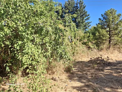 Sitio en venta