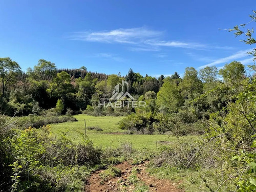 Cod35266 Vende Agrícola Campo De 36 Ha. Indigena En Lautaro