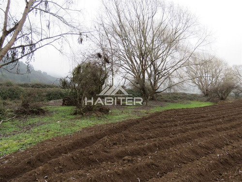Imagen 21 de 30 de Agrícola En Venta En Teno