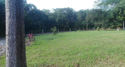 Imagen 6 de 11 de Terrena De 1 Hectárea Con Casa