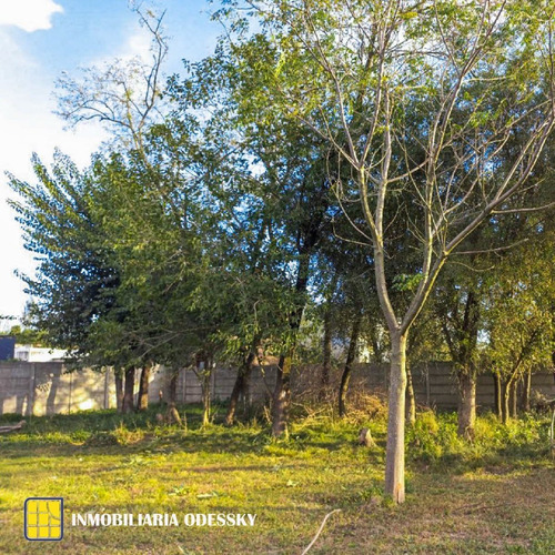 Imagen 2 de 4 de Lote En Venta -b° Los Frenos Ii