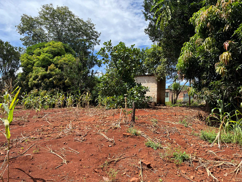 Oportunidade Única: Terreno De 2600m2 À Venda!