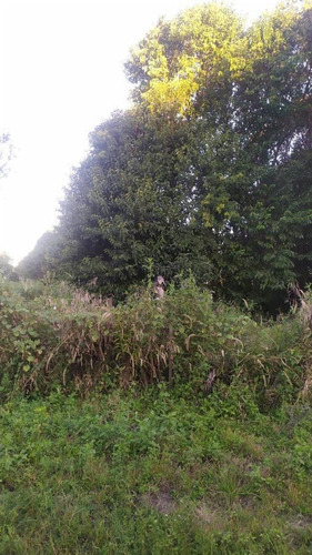 Imagen 6 de 10 de Terreno - Villa Catalina