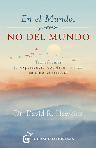 En El Mundo, Pero No Del Mundo - David Hawkins